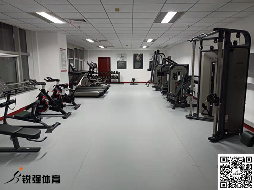 济南某集团采购的好博体育提供的健身器材